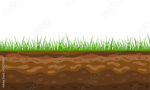 Color Cross Section of Ground with Grass. Vector