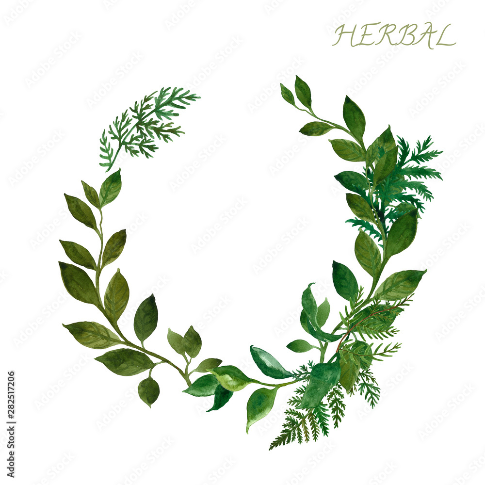 Watercolor botanical frame with wild herbs and green leaves on white ...