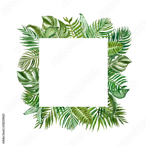 Tropical green foliage square frame for cards, banners. Watercolor summer exotic plants and leaves border on white background.