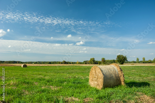Hay bale on a green meadow