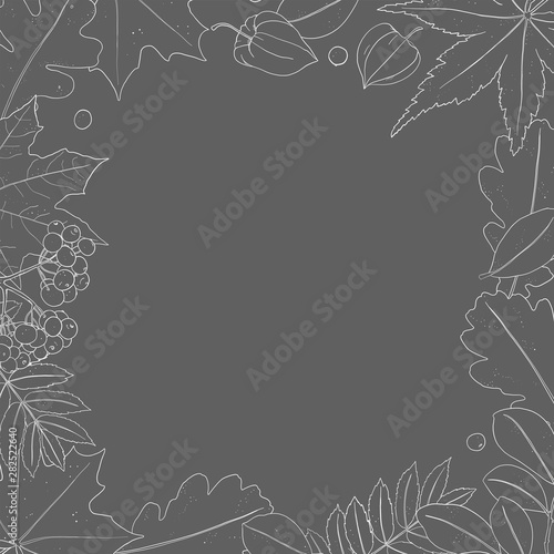 Frame with autumn leaves. Monochrome illustration in sketch style on dark background. White chalk on Board. Hand-drawn. Template. Mock up.