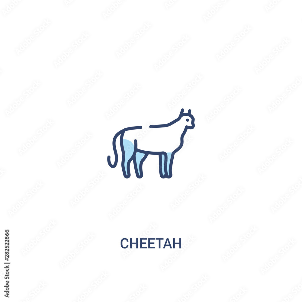 Obraz premium cheetah concept 2 colored icon. simple line element illustration. outline blue cheetah symbol. can be used for web and mobile ui/ux.