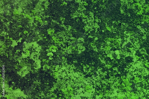 green design dirty lichen on stone texture - pretty abstract photo background