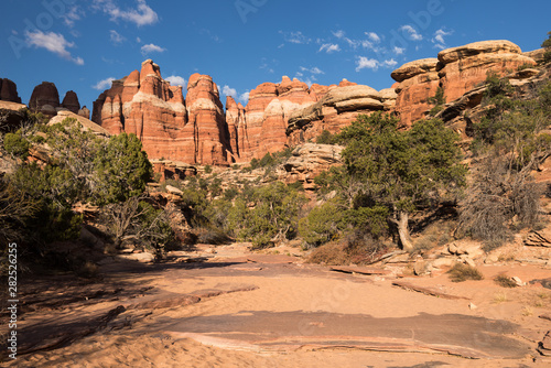 Juniper trees and a rock wall  within a canyon wash. Located in the Needles District of Canyon Lands National Park  Utah.