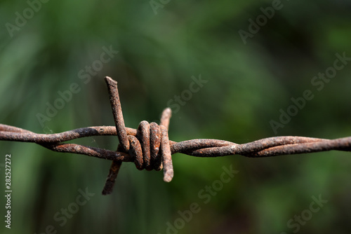 Rusty barbed wire is used as a background image.