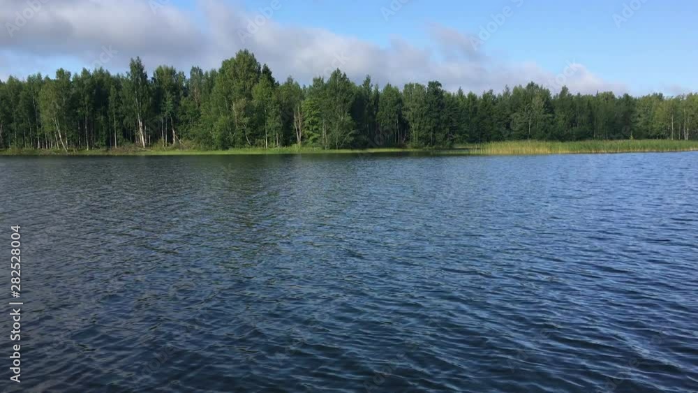 View at lake shore with pine trees from driving motorboat, boat riding on water surface, side view