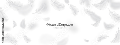 White Flying Bird Feathers Pattern on Light Background