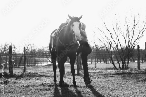 Woman mounting horse to go horseback riding, western lifestyle in black and white.