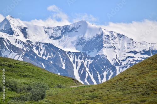 Landscape in Denali National Park and Preserve  Alaska