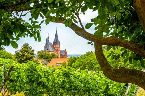 St. Catherine's church and vineyards, Oppenheim, Germany