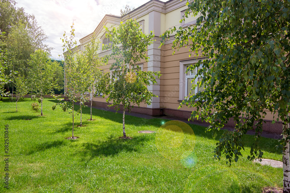 back yard of a building with a rustication and a green lawn with birches on a sunny summer day with sunny glare.