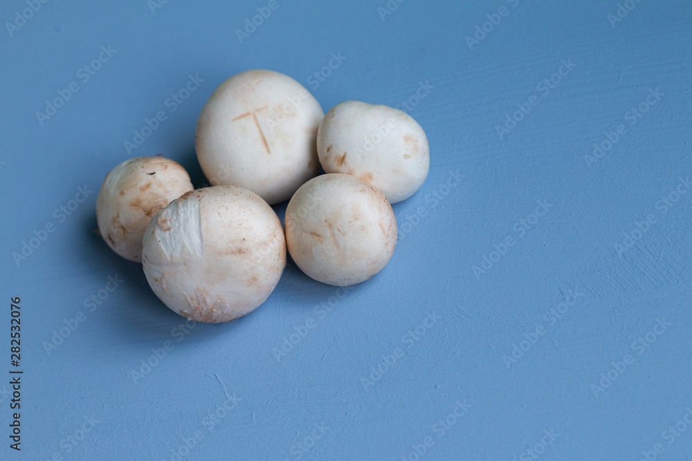 Raw mushrooms champignons on blue background with space for text