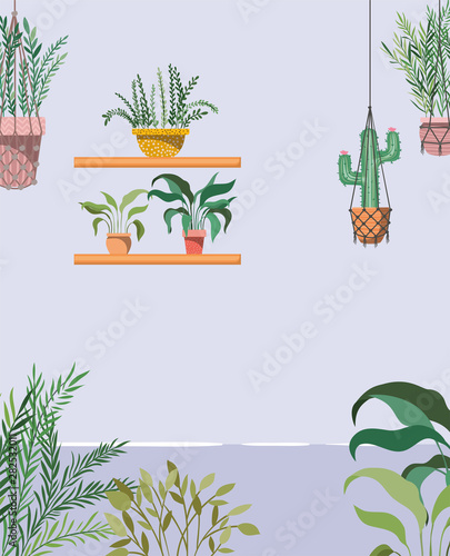 house garden with plants hanging scene