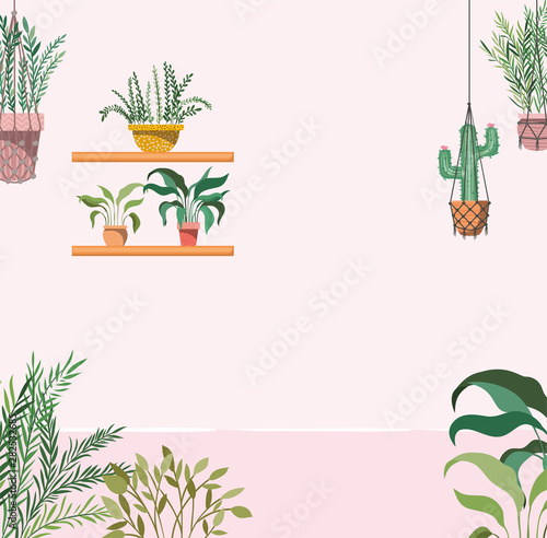house garden with plants hanging scene