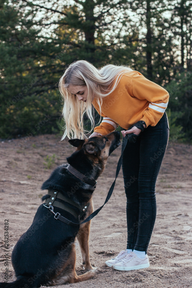young beautiful girl playing with a dog breed German shepherd young beautiful girl playing with a dog breed German shepherd