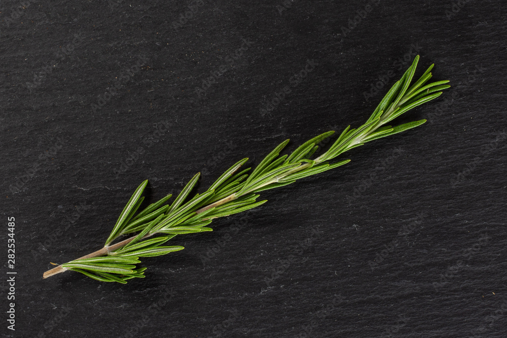 One whole thin fresh evergreen sprig of rosemary flatlay on grey stone One whole thin fresh evergreen sprig of rosemary flatlay on grey stone