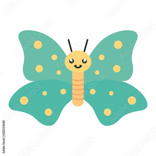 cute butterfly insect kawaii character