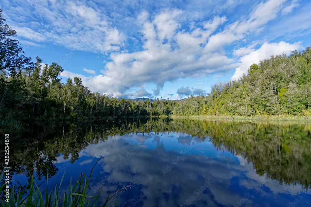 Fototapeta premium Lake Hanlon, Kahurangi National Park, west coast, New Zealand.