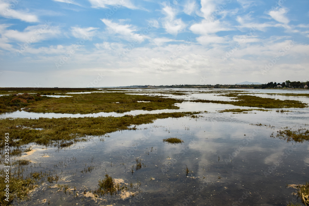 Obraz premium landscape with lake and sky