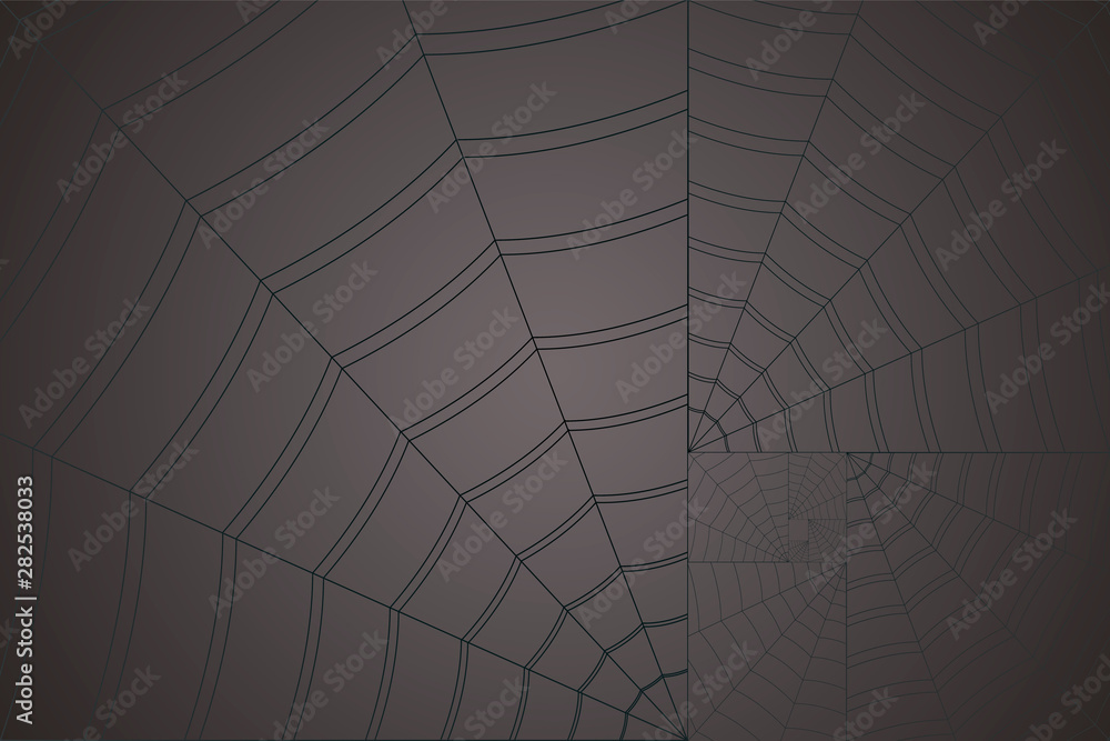 golden spiral white web on a gray background