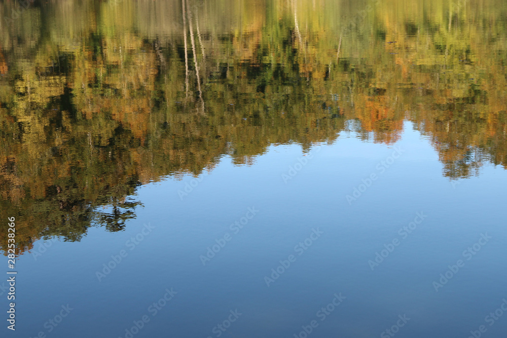 autumn leaves reflecting in water autumn leaves reflecting in water