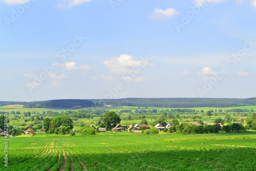 Russian village in summer, view of the russian tradtional country houses in landscape