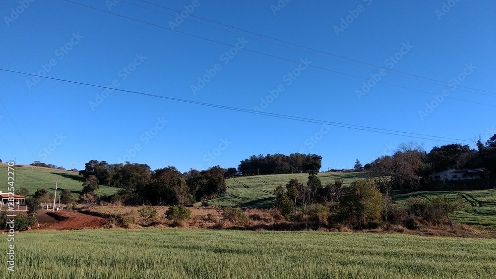 rural landscape with fields and trees