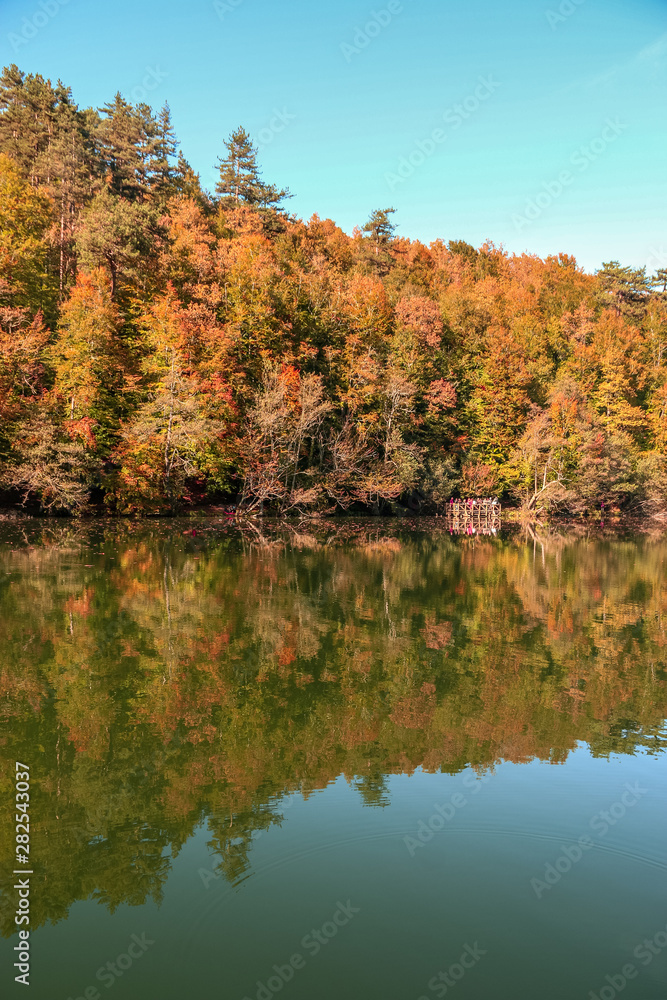 autumn leaves reflecting in water