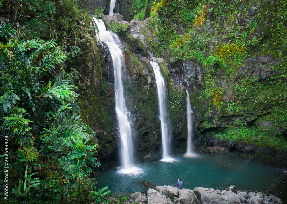 Maui Tropical Waterfall