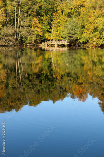 Fototapeta Naklejka Na Ścianę i Meble -  autumn leaves reflecting in water
