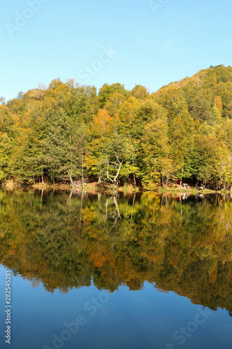 Fototapeta Naklejka Na Ścianę i Meble -  autumn leaves reflecting in water