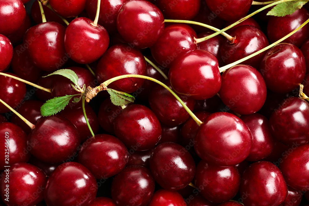 Delicious ripe sweet cherries as background, closeup view Delicious ripe sweet cherries as background, closeup view