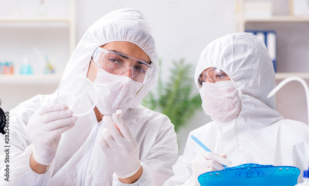 Two chemists working in the lab