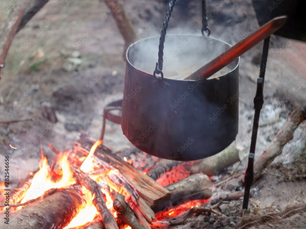 Steam comes from a witch's cauldron in the forest. Steam comes from a witch's cauldron in the forest.