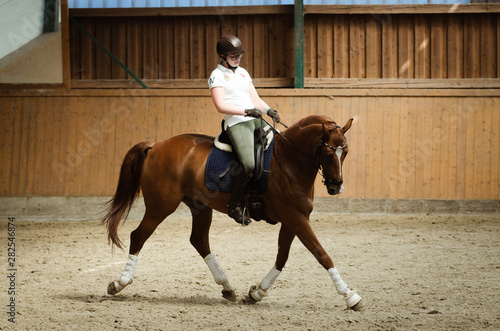 Reiterin trabt mit ihrem Pferd im Training durch die Halle
