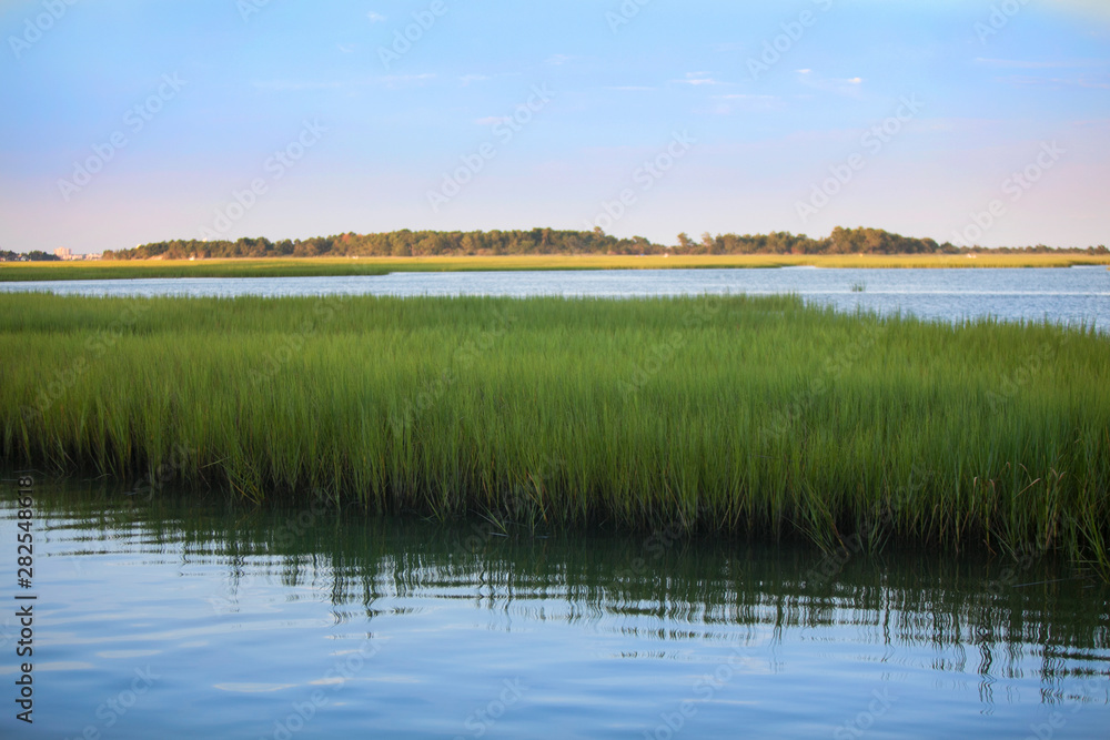 Waterway Marsh Grass