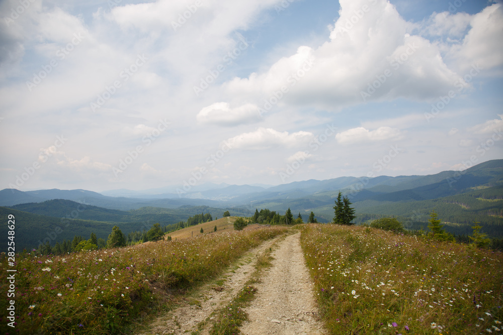 Carpathian landscape. Dirt road in the mountains. Hiking. Rural landscape in Carpatians, Ukraine. Young spruces coniferous forest and beautiful sky. Panorama of mountains from Mount Kostrycha, Ukraine