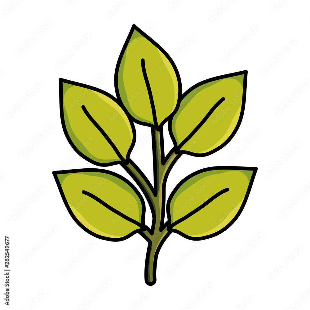 branch with leafs plants garden branch with leafs plants garden