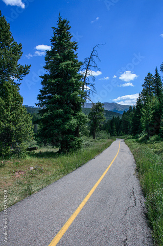 Asphalt path running through mountain forest