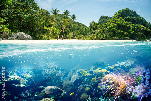 Fototapeta Naklejka Na Ścianę i Meble -  Korallen Riff mit paradiesischen Strand