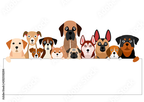 brownish dogs group with white board