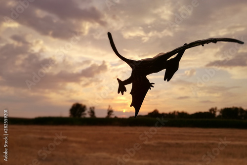 Silhouette of a Pteranodon at nightfall. Carnivorous dinosaur flying over Spanish National territory, UE airspace, over a rural area of the agricultural cereal field. A reptile from the Jurassic.