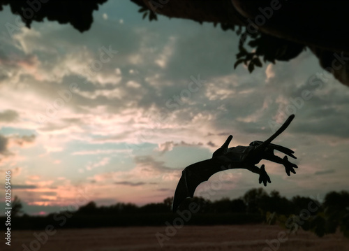 Majestic silhouette of a Pteranodon at nightfall. Carnivore with excellent flight and vision. Known as Flying Dinosaur is technically a prehistoric flying reptile from the Cretaceous period. Jurassic.