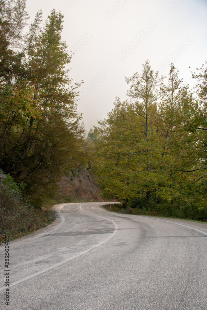 Fototapeta premium river road