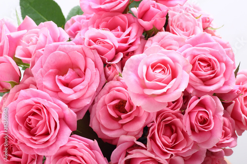 Wallpaper Mural 白背景にピンクの花束 Torontodigital.ca