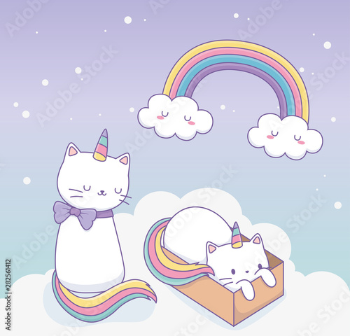 cute cats with rainbow tail and carton box kawaii characters