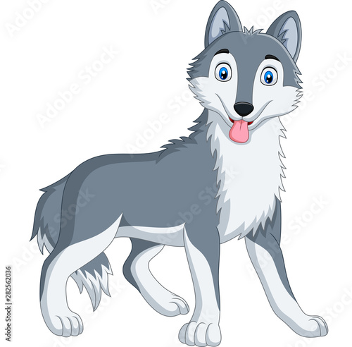 Cute wolf cartoon on white background