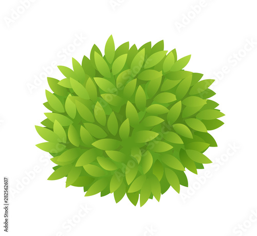 Round bush foliage of green leaves. Green leaves tea or tree texture. Thick thickets shrubs. Eco summer design. Vector illustration.