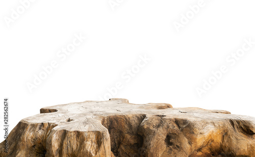 Beautiful texture of old tree stump table top on white background photo