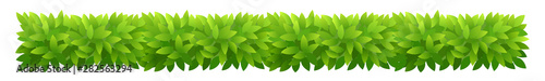 Foliage bush of green leaves. Horizontal rectangular long banner. Green leaves texture. Thick thickets shrubs. For spring and summer design.